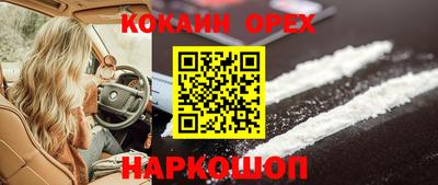 хмурый Сланцы