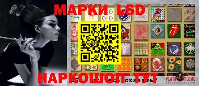хмурый Сланцы