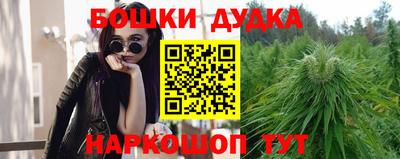 a pvp Славгород