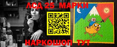 a pvp Славгород